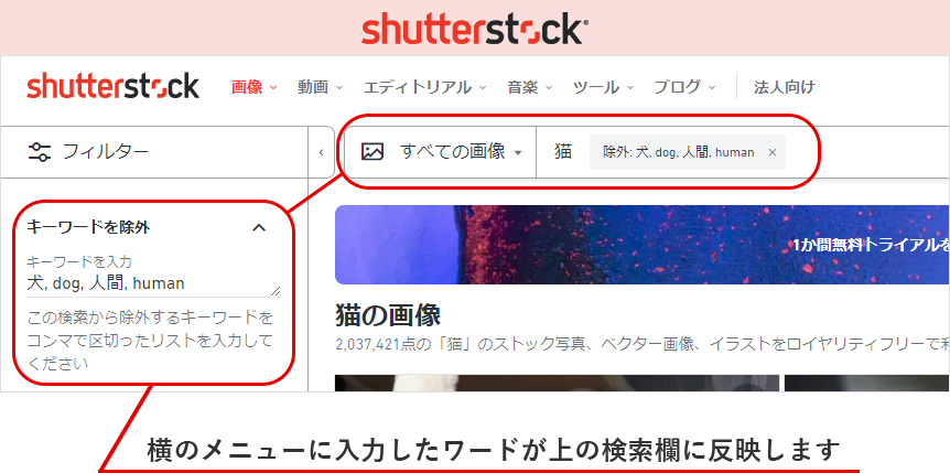 初心者向け Webサイトで使用する良い写真の選び方 東京のホームページ制作 Web制作会社 Brisk