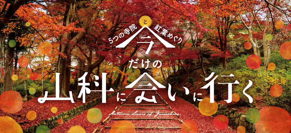 季節を感じるデザイン 秋編 東京のホームページ制作 Web制作会社 Brisk